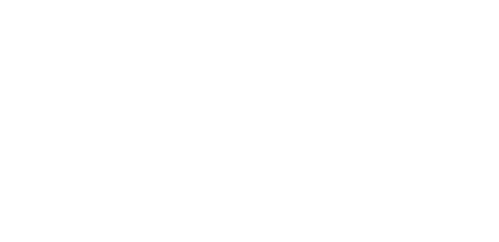 NaPhi Logo weiß